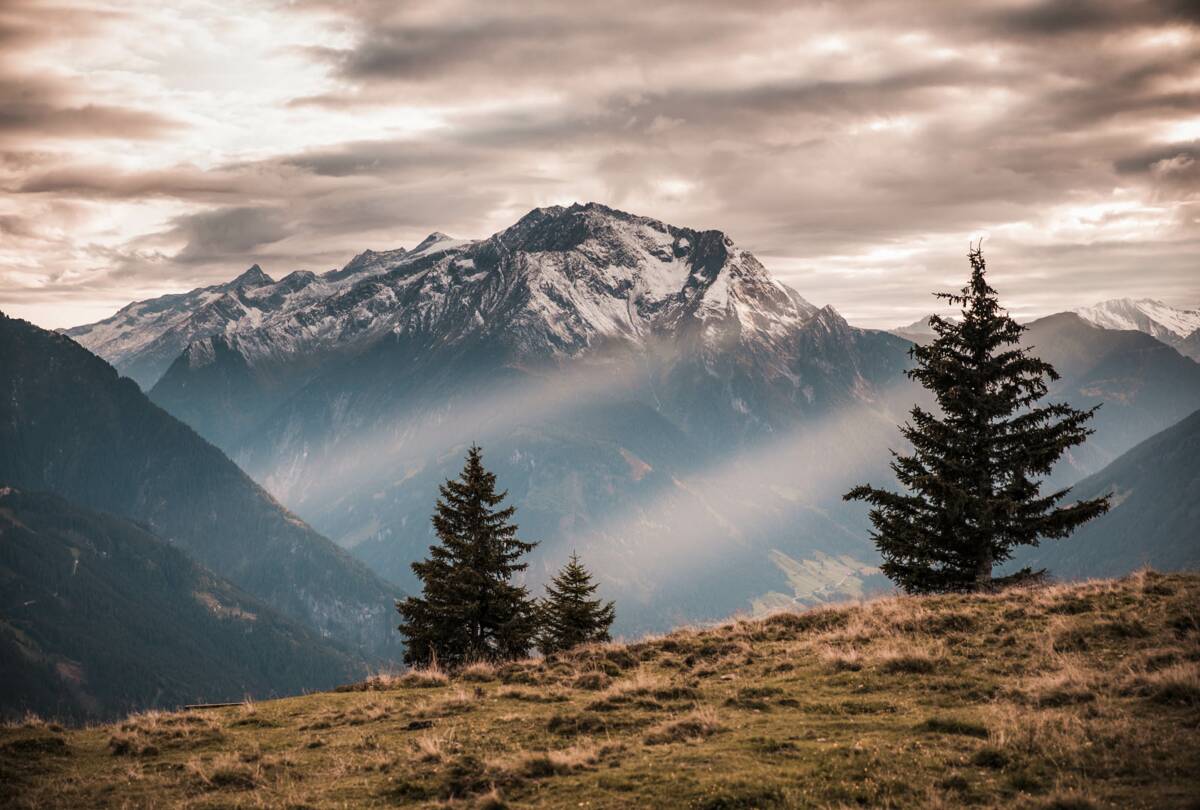 Trailrunning © Zillertal Tourismus