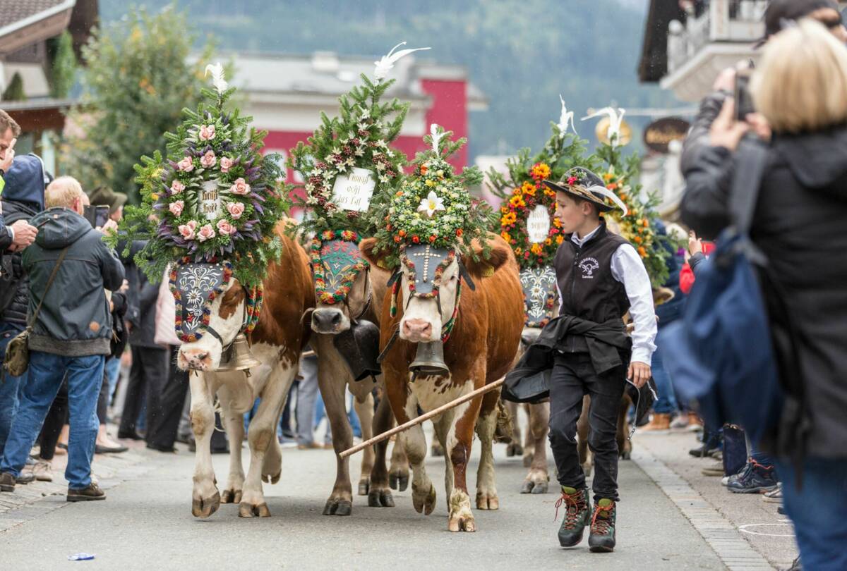 Mayrhofen Zillertal