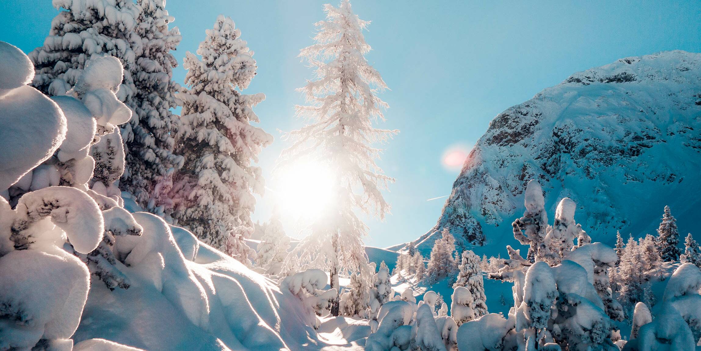 Winterzauber © Zillertal Tourismus