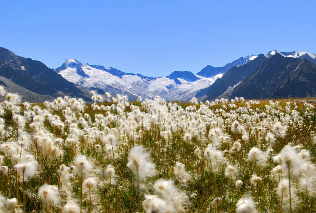 Naturpark Zillertal