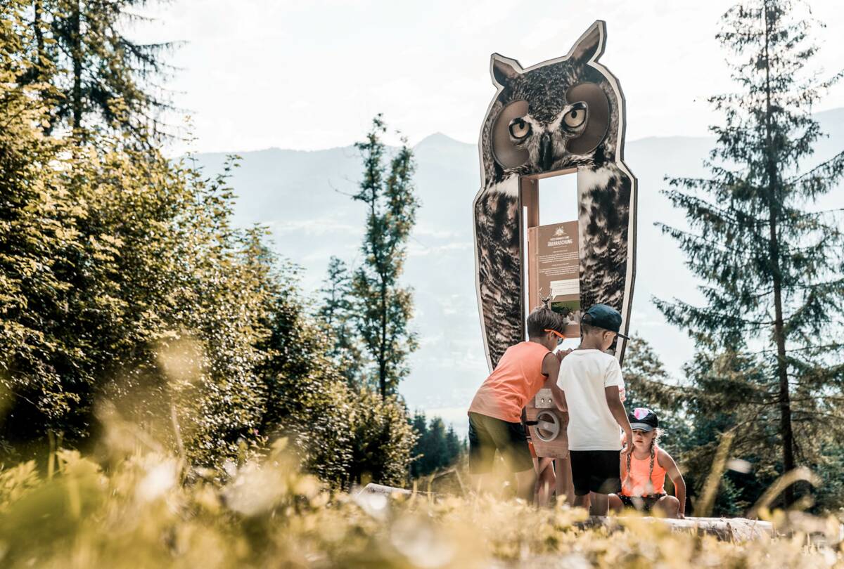 Wanderung © Zillertal Tourismus