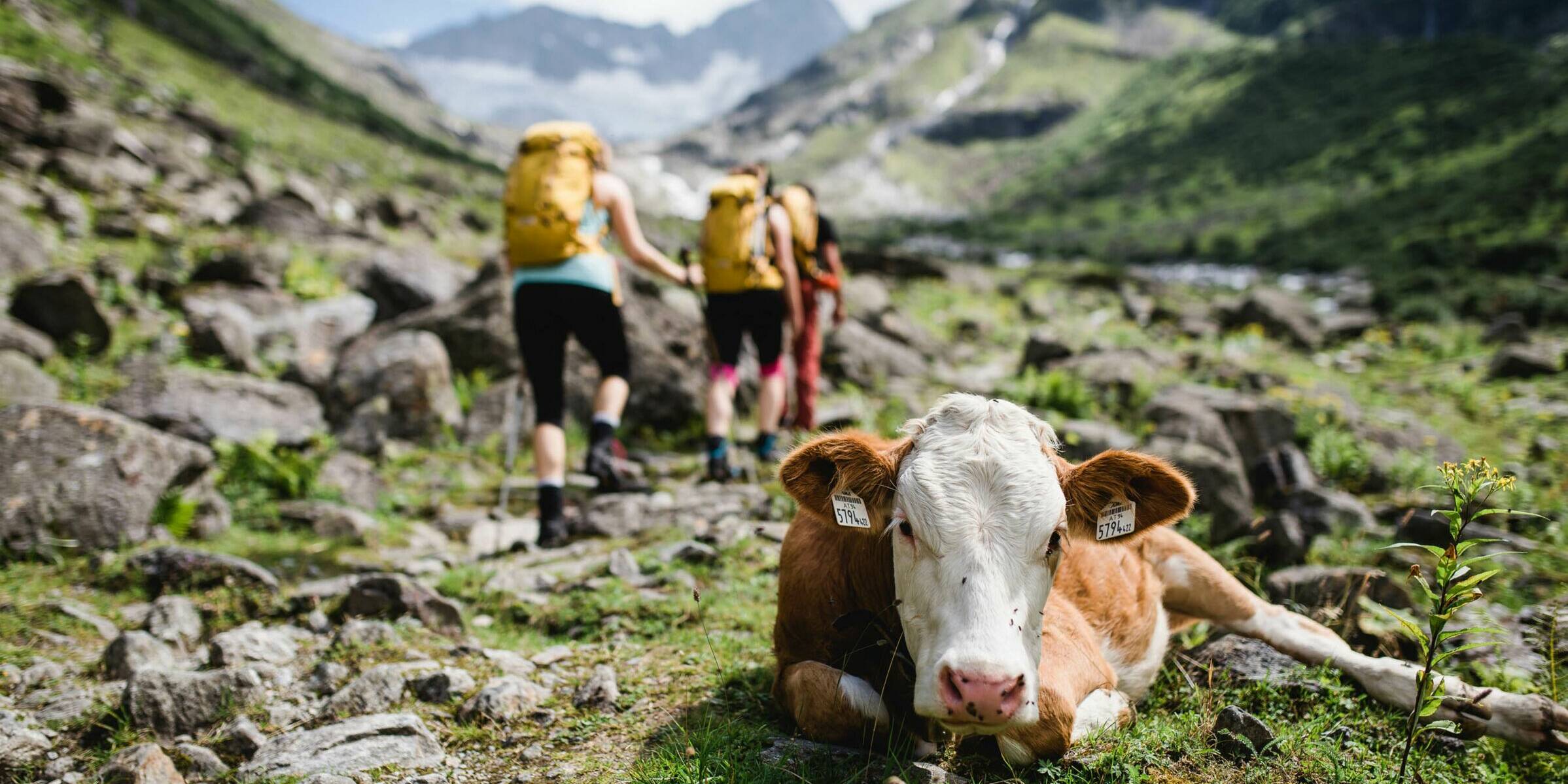 Mayrhofen Zillertal